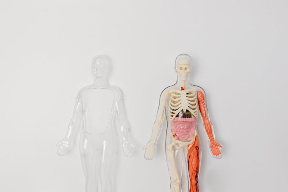 Project Highlights: The Heart of KBrackmann